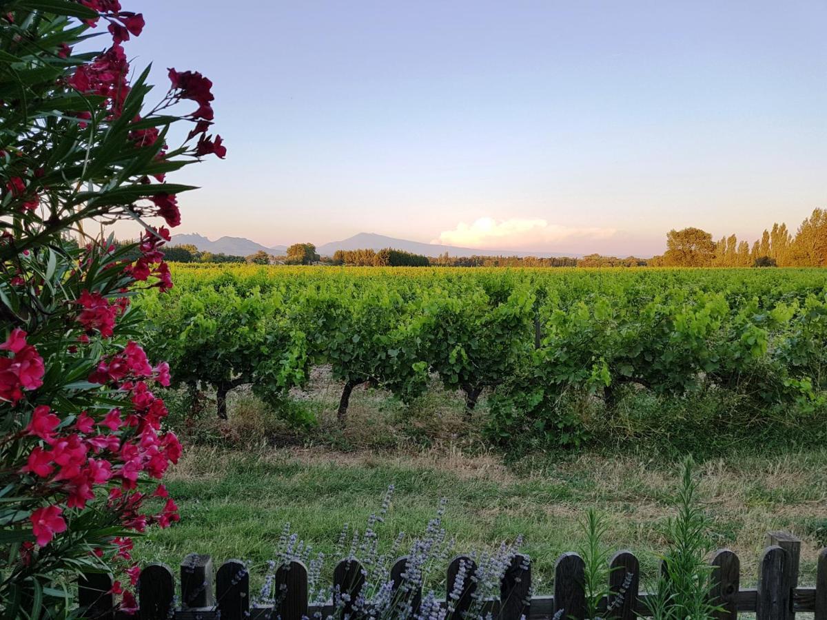 Mas Du Clos De L'Escarrat Jonquieres  ภายนอก รูปภาพ