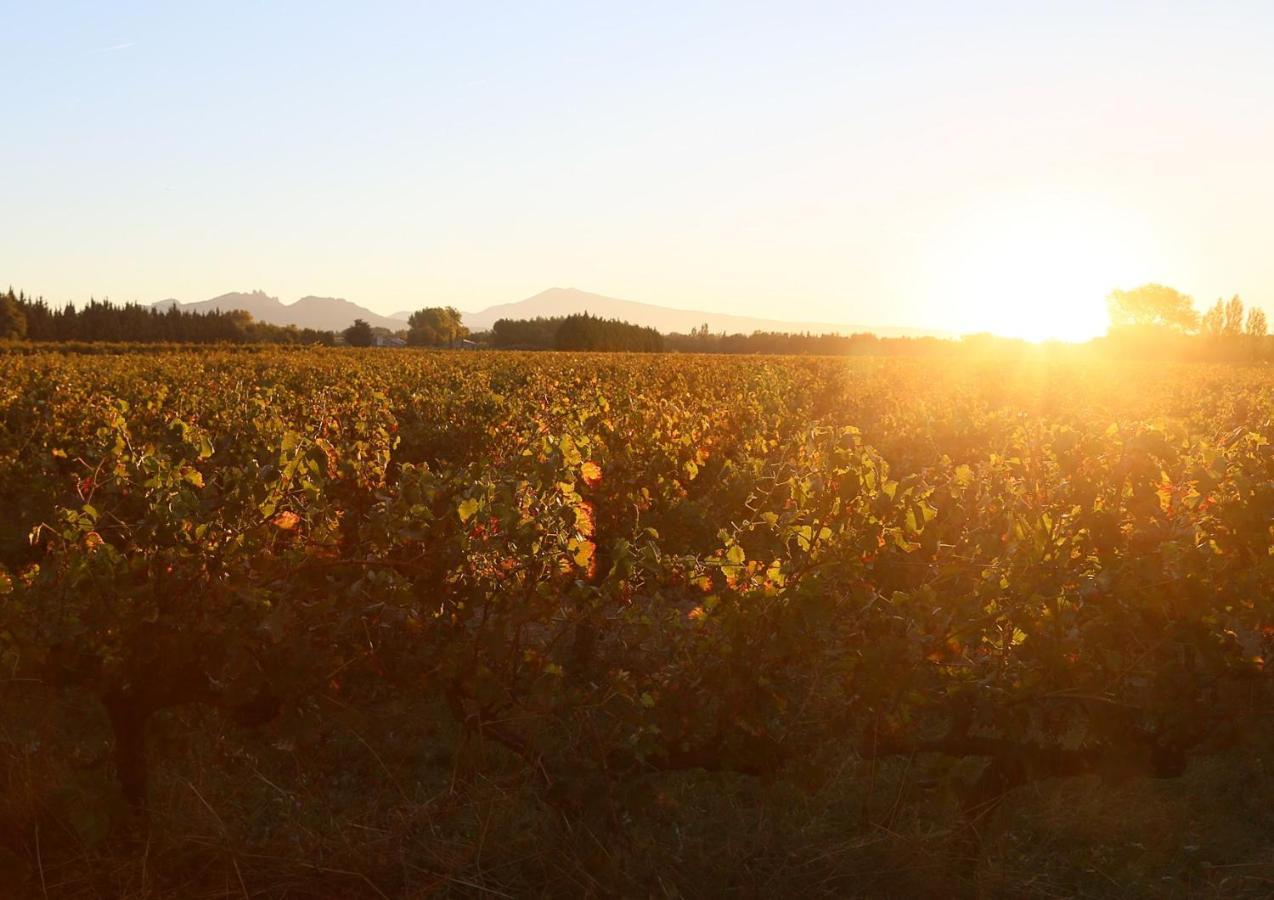 Mas Du Clos De L'Escarrat Jonquieres  ภายนอก รูปภาพ