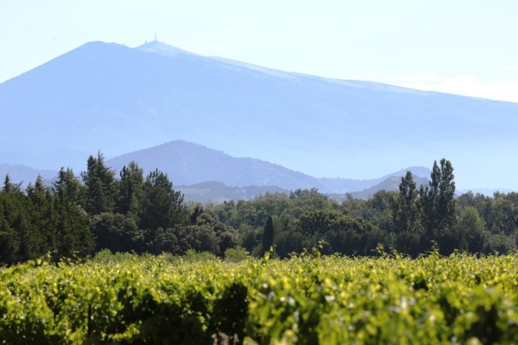 Mas Du Clos De L'Escarrat Jonquieres  ภายนอก รูปภาพ