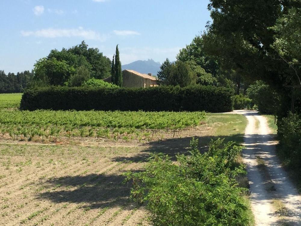 Mas Du Clos De L'Escarrat Jonquieres  ภายนอก รูปภาพ