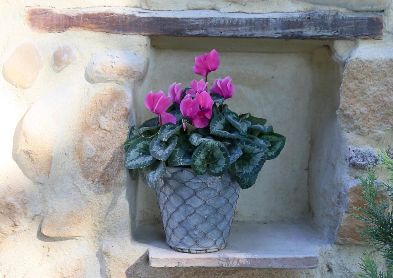 Mas Du Clos De L'Escarrat Jonquieres  ภายนอก รูปภาพ